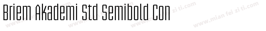 Briem Akademi Std Semibold Cond字体转换